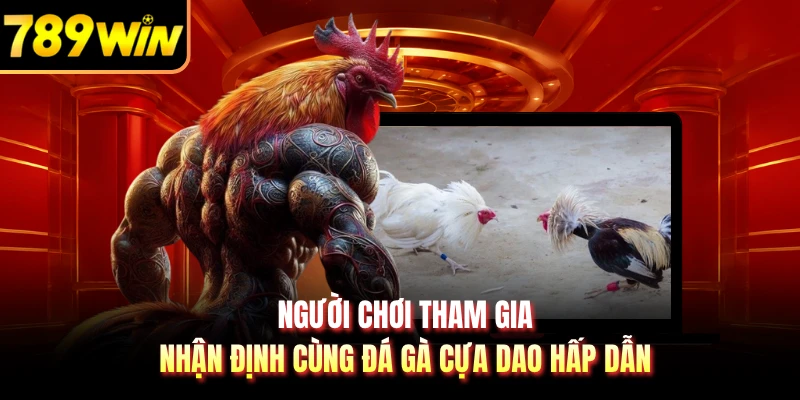 Người chơi tham gia nhận định cùng đá gà cựa dao hấp dẫn